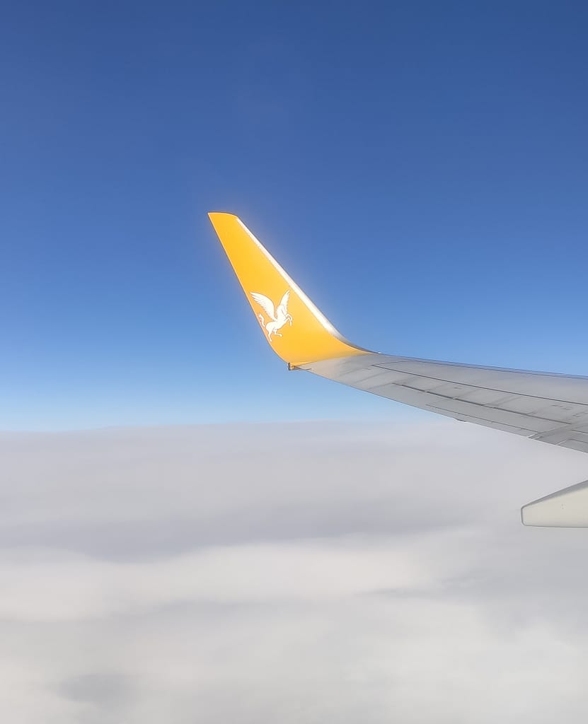 plane_wing