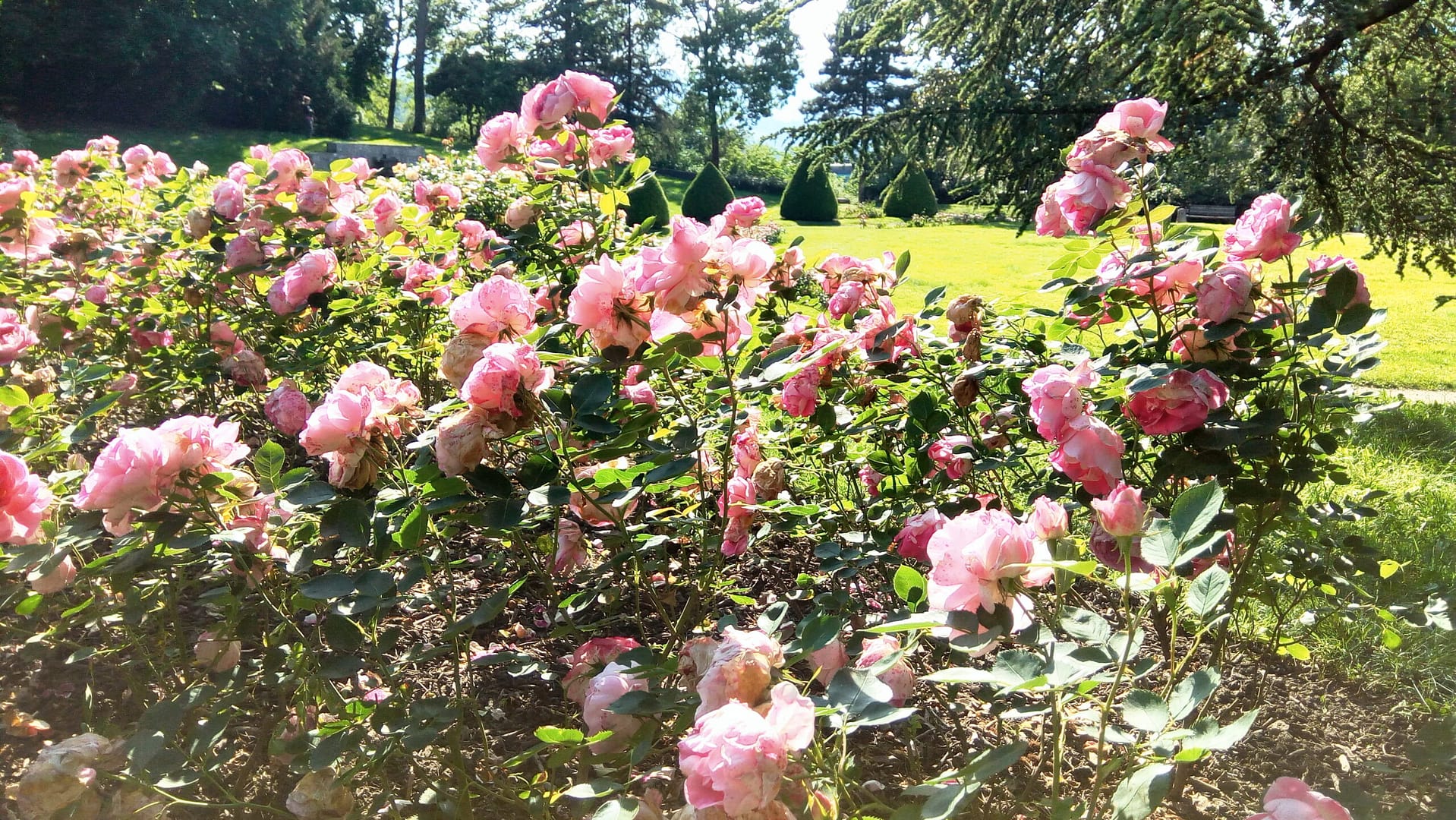 A beautiful long journey from Chambéry to Frankfurt. Part 1